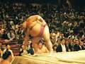 Musashimaru Yokozuna siega po sol, przed finalowa walka.