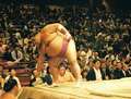 Musashimaru Yokozuna before the final fight.