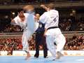 Hernan Cordero - ushiro-mawashi-geri<br>winner: Ono - Japan