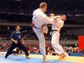 Andrey Stepin - jodan-mawashi-geri: Ippon