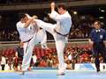 Phillip Kirkman - jodan-mawashi-geri<br>winner: Young - Korea