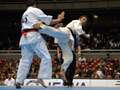 Olivier Ribet - tobi-ushiro-geri<br>winner: Ribet - France