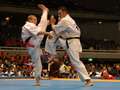 Vasily Timofeyev - kakato-otoshi-geri<br>winner: Timofeyev - Russia