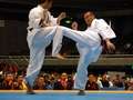 Gun Irisawa - chudan-mawashi-geri<br>winner: Irisawa - Japan