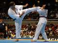 Marcos Furlan - jodan-mawashi-geri: Ippon<br>wygrywa: Furlan - Brazylia