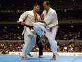 Artur Hovhannisian - seiken-chudan-tsuki: Ippon<br>wygrywa: Hovhannisian - Armenia