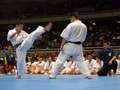 Techniques demonstration: Shihan Sugimura and Sensei Narushima