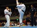 Glaube Feitosa - kakato-otoshi-geri<br>winner: Feitosa - Brazil