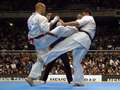 Sergio da Costa - gedan-mawashi-geri<br>winner: Osipov - Russia