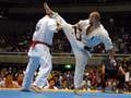 Sergey Plekhanov - ushiro-mawashi-geri<br>winner: Plekhanov - Russia