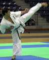 kata: Javier Lezcano - european champion