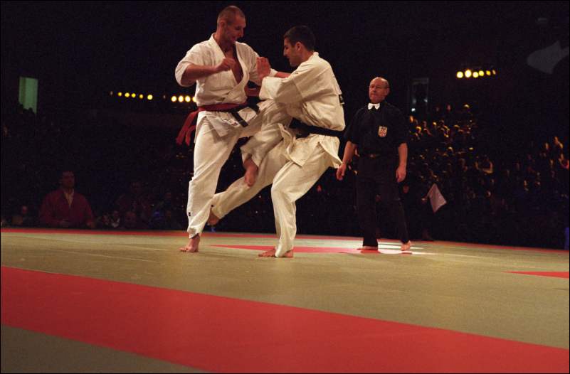 Krzysztof Habraszka vs Nicolae Stoian