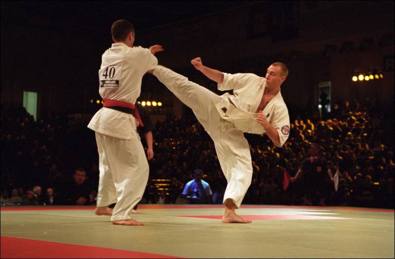 Micha³ Krzak vs Nicolae Stoian