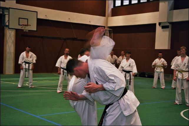 Ushiro-mawashi-geri