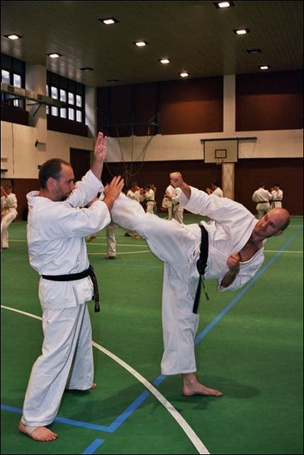 Sensei Jiri Potys