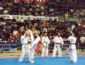 Pokaz karate kyokushinkai
