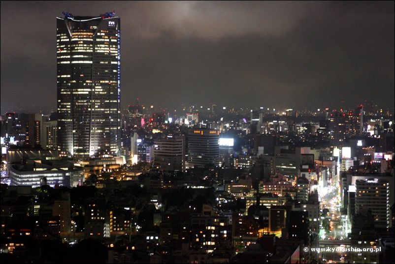 Tokio noca