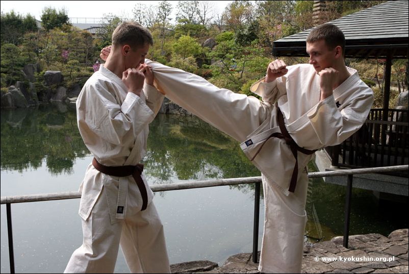 mawashi-geri