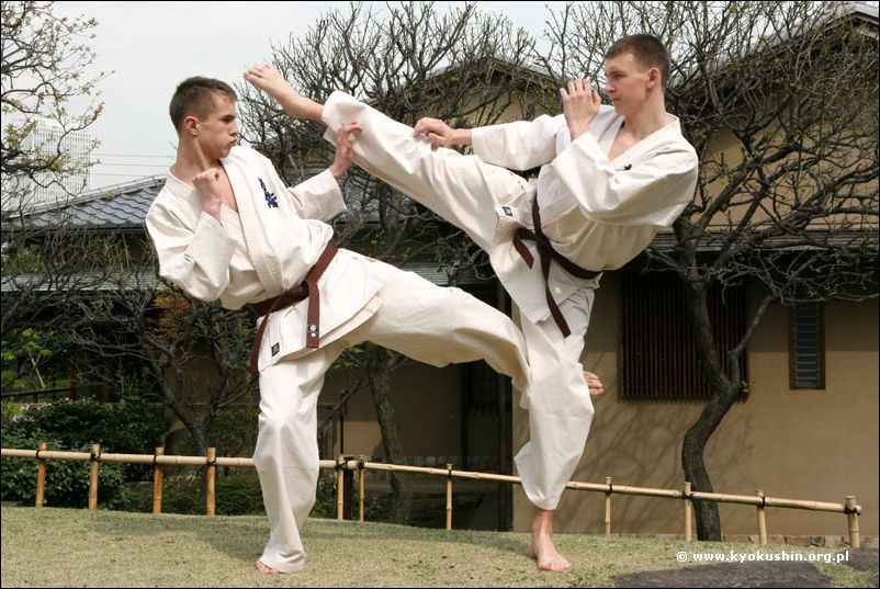jodan-mawashi-geri<br>vs gedan-mawashi-geri