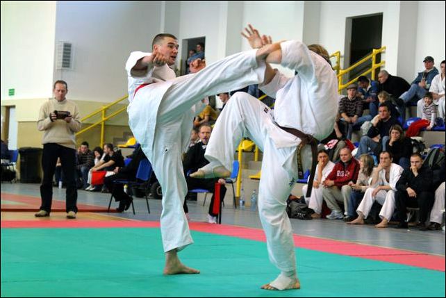 Roman Zmora<br>jodan-mawashi-geri