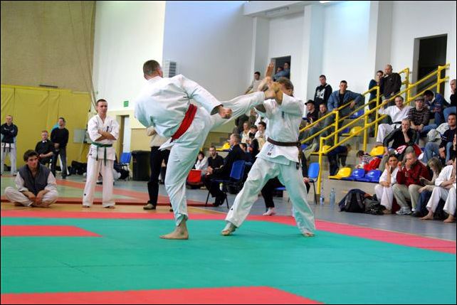 Roman Zmora<br>jodan-mawashi-geri