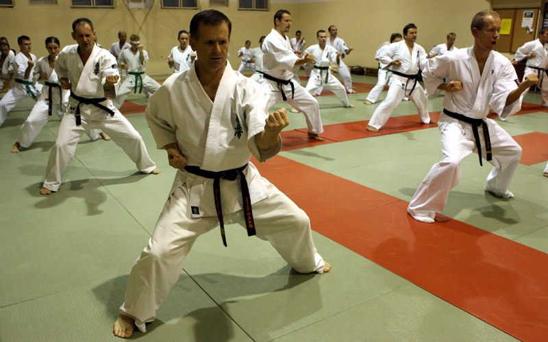 Sensei Gwizd (Tarnow)