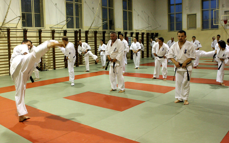 Yoko-geri