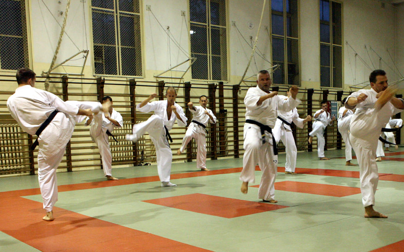 Mawashi-geri