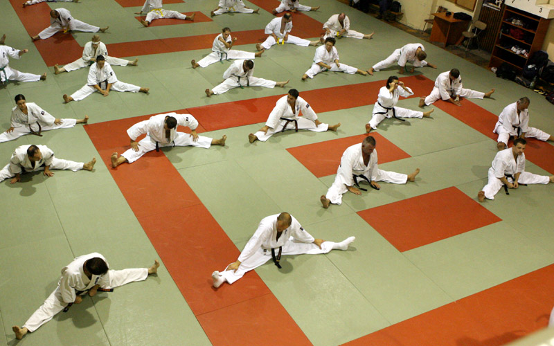 Rozciaganie wg szkoly<br>Sensei Ryu Narushima