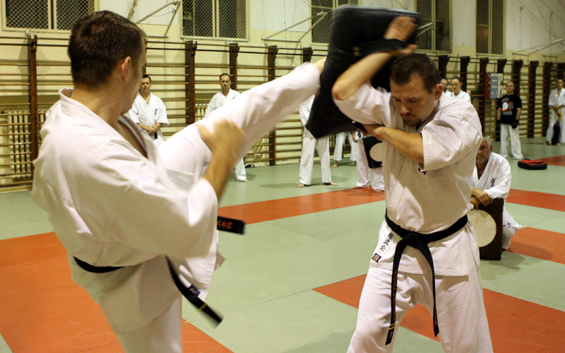 Mawashi-geri<br>w stylu Sensei Narushima
