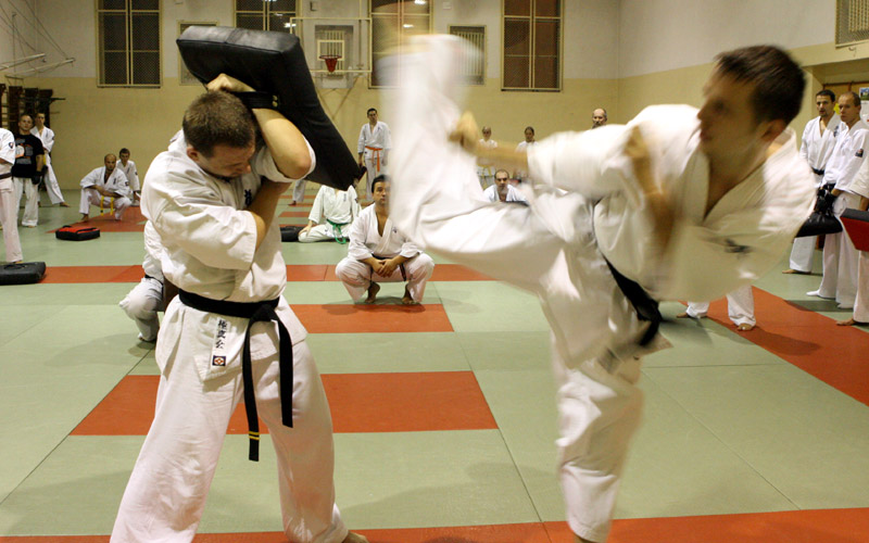 Brazylijskie mawashi-geri