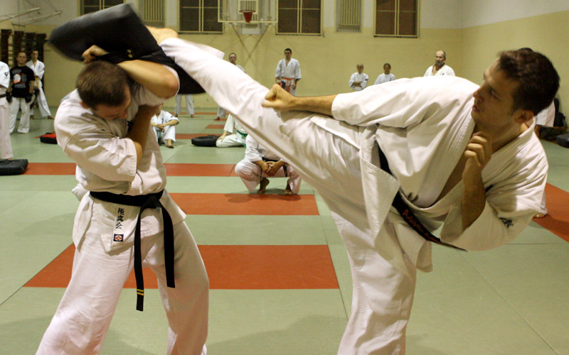 Brazylijskie mawashi-geri