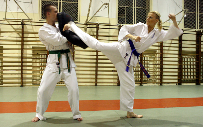 Mawashi-geri