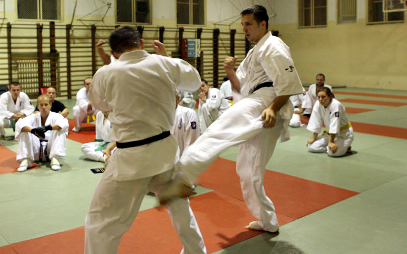 i natychmiastowy kontratak:<br>(gedan-mawashi-geri)