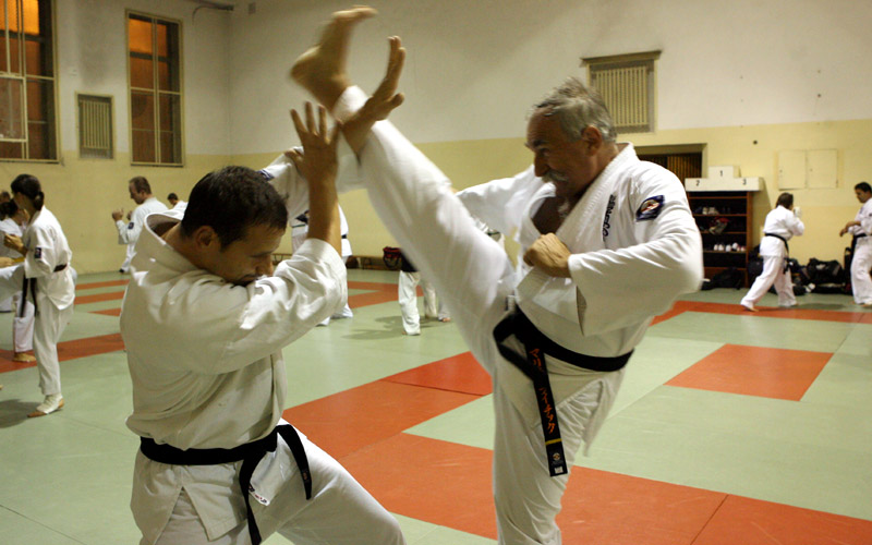 Kakato-otoshi-geri