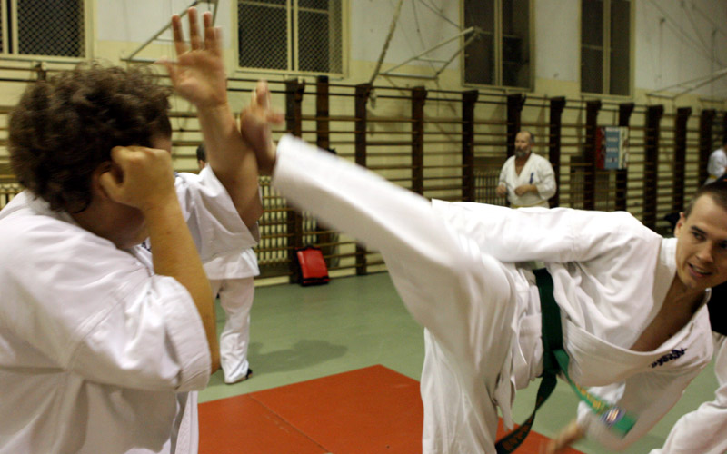 Ushiro-mawashi-geri