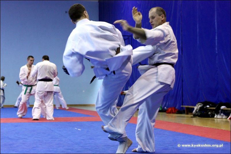 ushiro-geri