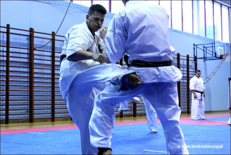 gedan-mawashi-geri