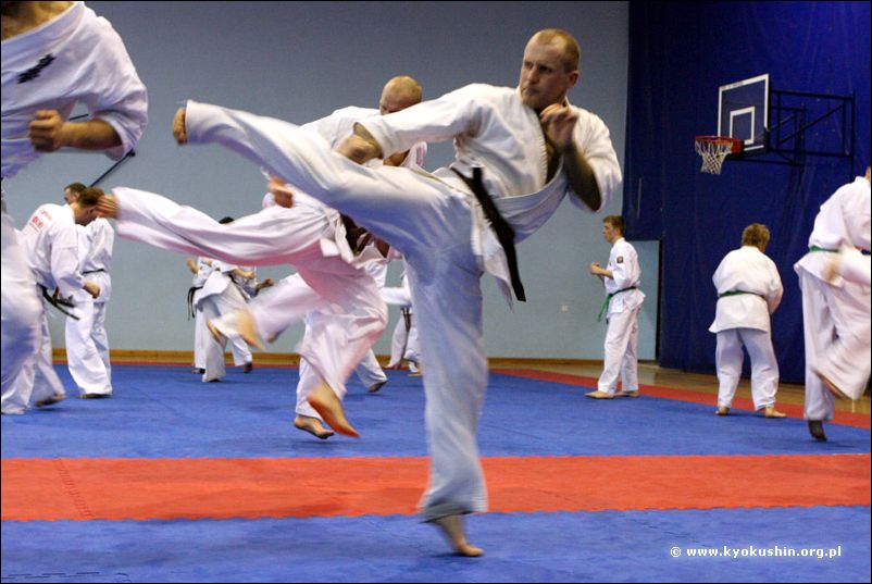 ushiro-geri
