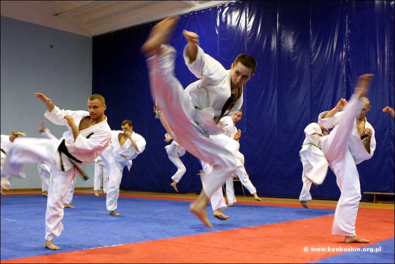 tobi-ushiro-mawashi-geri