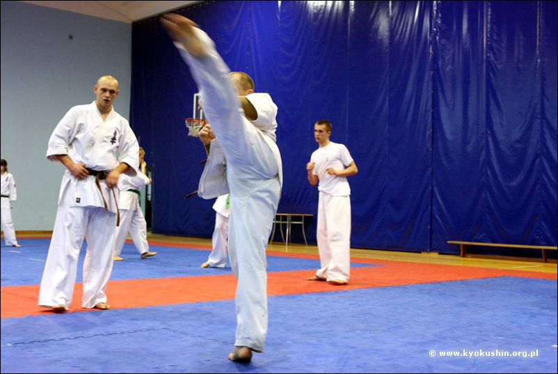 ushiro-mawashi-geri