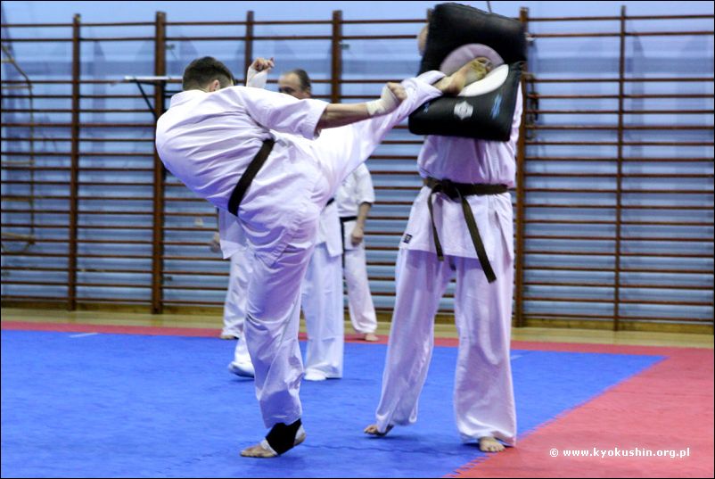 jodan-mawashi-geri