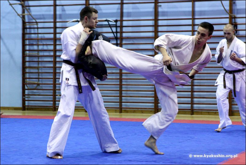 ushiro-geri