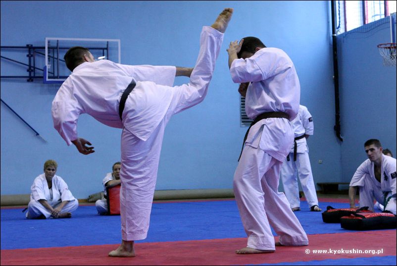 'Brazylijskie mawashi-geri'