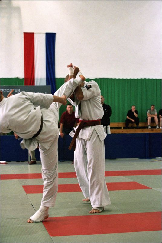 12